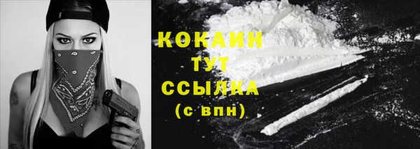 крисы Касимов